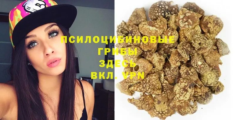 Псилоцибиновые грибы Magic Shrooms  где купить наркоту  Карпинск 